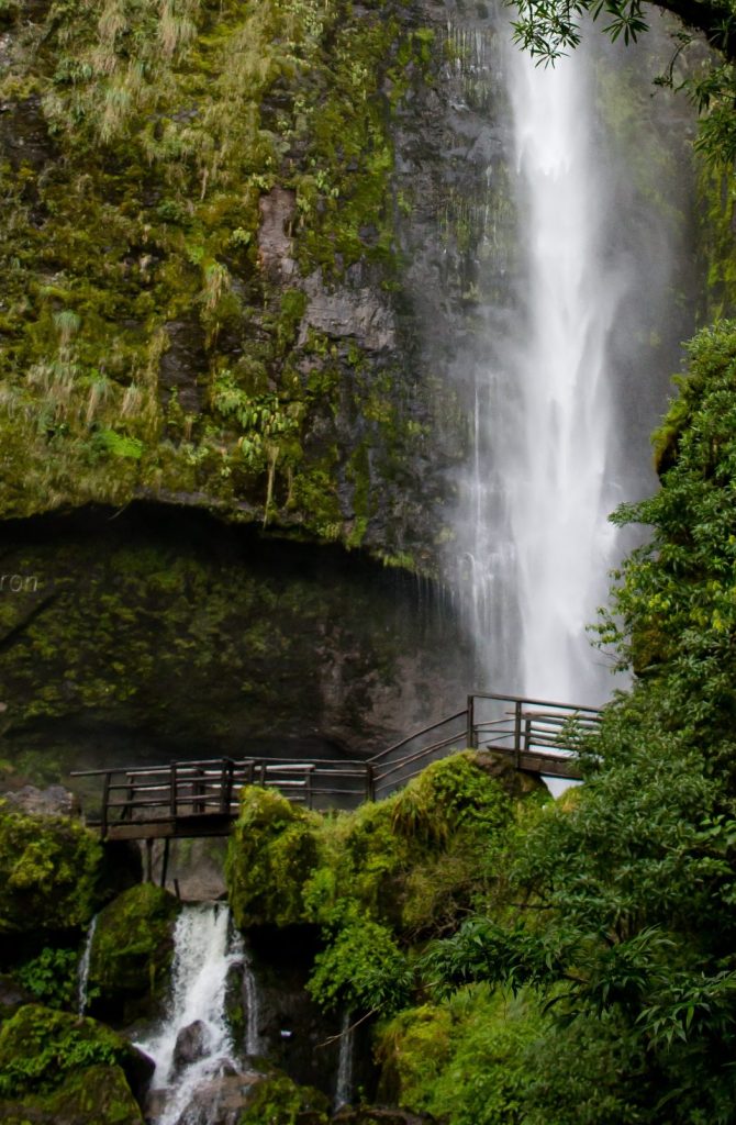 The beautiful scenery of a forest with amazing sparkling waterfalls